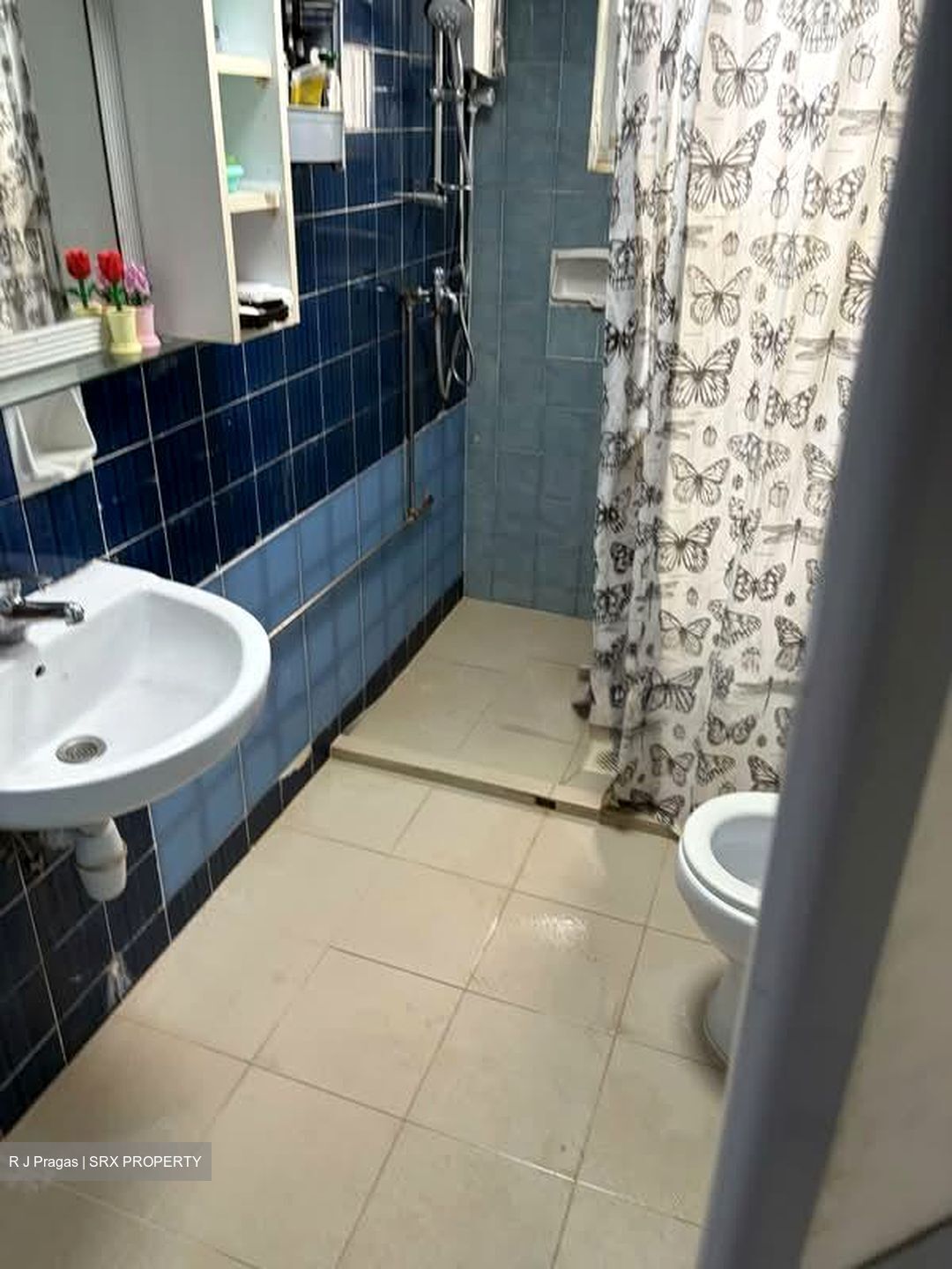Braddell View (D20), Apartment #580935691